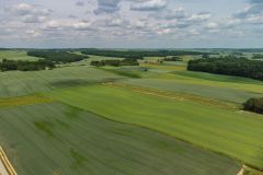 DJI_0468